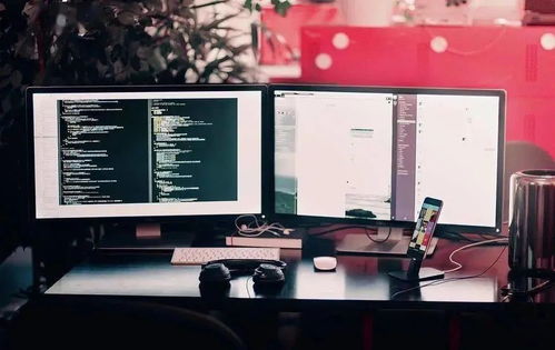 留学美国首选计算机专业 热度持续攀升，录取竞争白热化