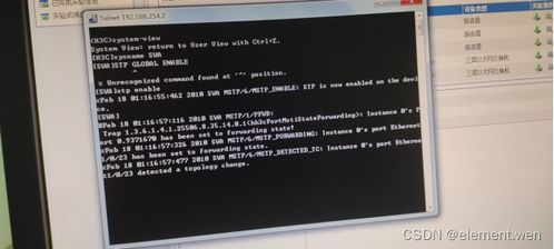 计算机网络实验四 配置VLAN与生成树协议